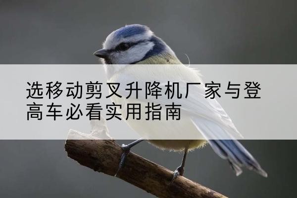 郏县电动升降机厂家-选移动剪叉升降机厂家与登高车必看实用指南
