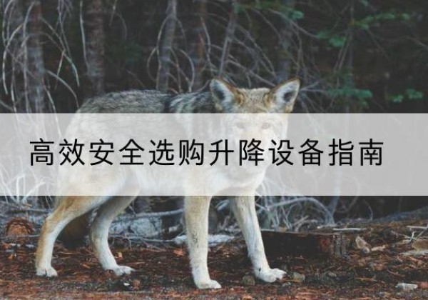 郏县升降货梯厂家推荐-*安全选购升降设备指南