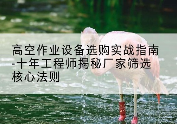 郏县剪叉式升降机厂家-高空作业设备选购实战指南-十年工程师揭秘厂家筛选核心法则
