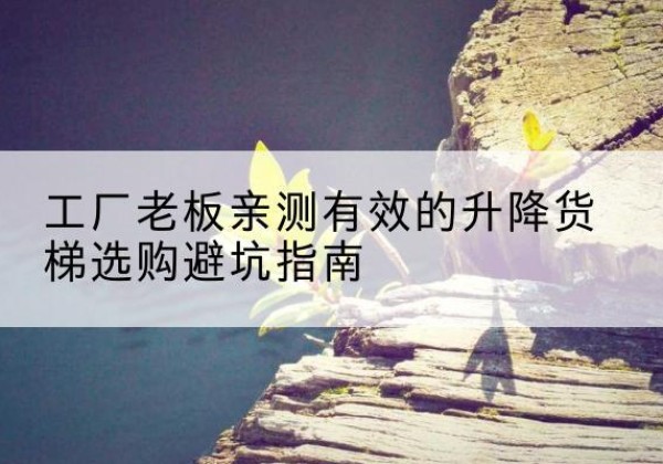 郏县升降货梯怎么选-工厂老板亲测有效的升降货梯选购避坑指南